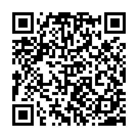 QR code for 81NM81