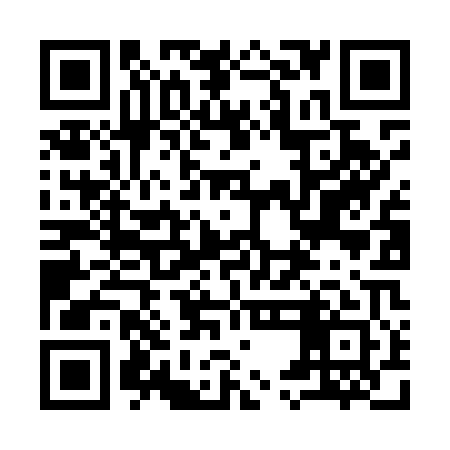 QR code for 95NM01