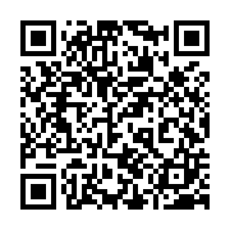 QR code for 95NM03