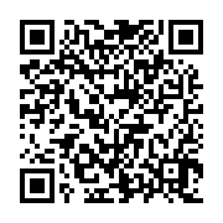 QR code for 95NM06