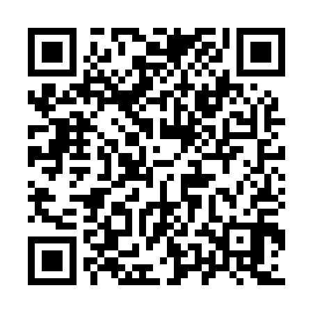 QR code for 95NM10