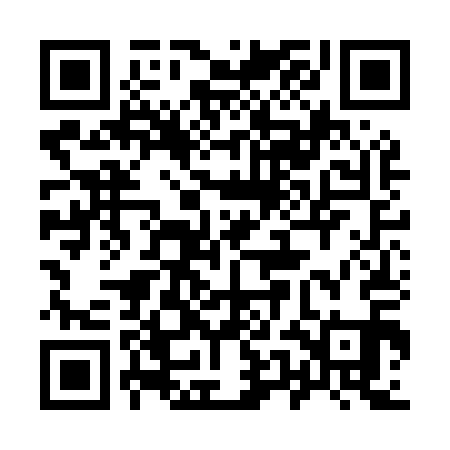 QR code for 95NM11