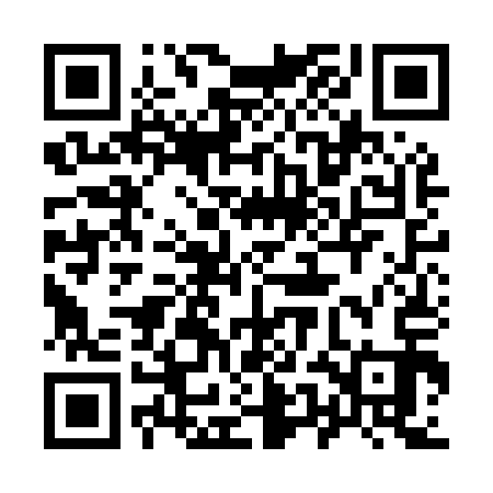 QR code for 95NM13