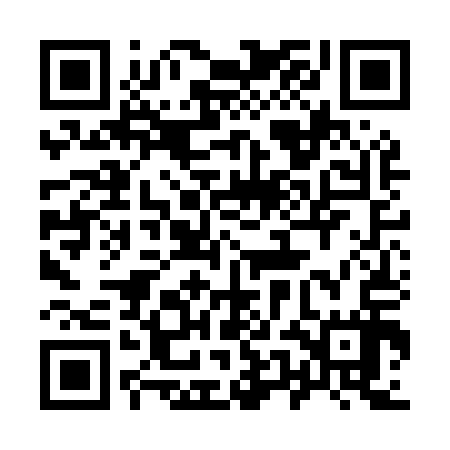 QR code for 95NM17