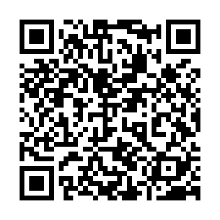 QR code for 95NM29