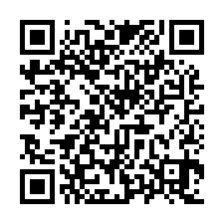 QR code for 95NM31