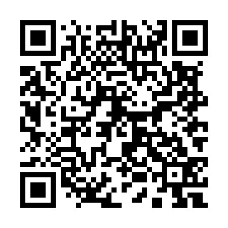 QR code for 95NM33