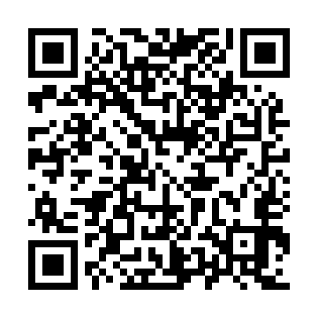 QR code for 95NM53