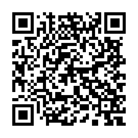 QR code for 95NM63