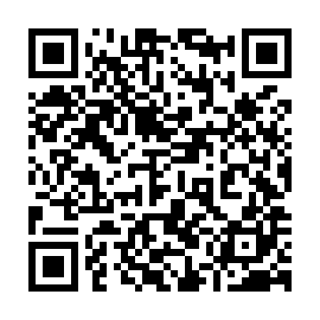 QR code for 95NM80