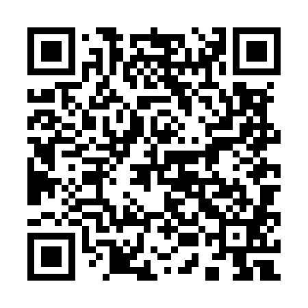 QR code for 95NM81