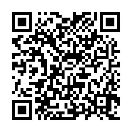 QR code for 95NM86