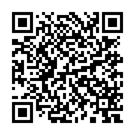 QR code for 993NM7