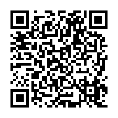 QR code for AI893