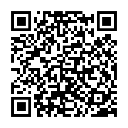 QR code for APID29