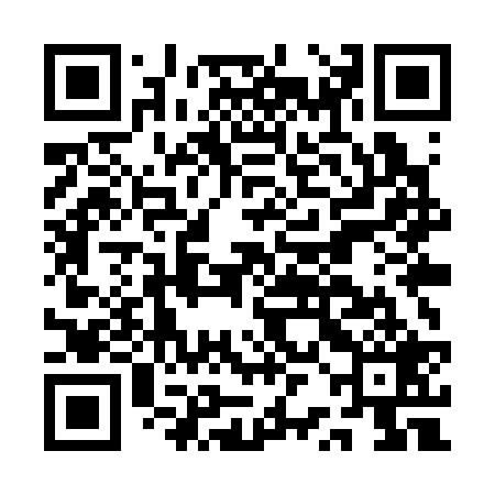 QR code for ARMS29