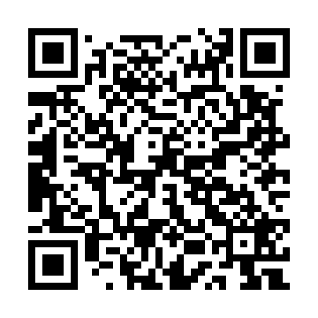 QR code for AUJE29