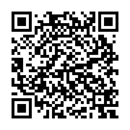 QR code for BFMC19