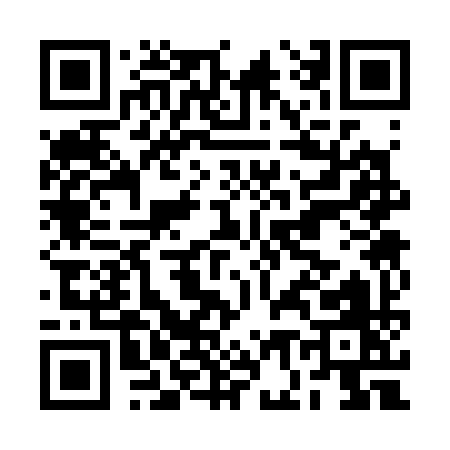 QR code for BG339