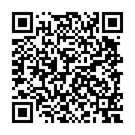 QR code for BIH491