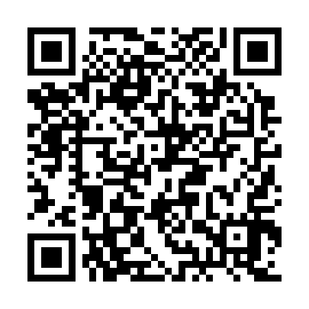 QR code for BIZ317