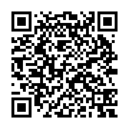 QR code for BOYR38