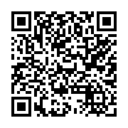 QR code for BSD295