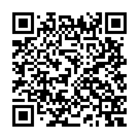 QR code for BSG536