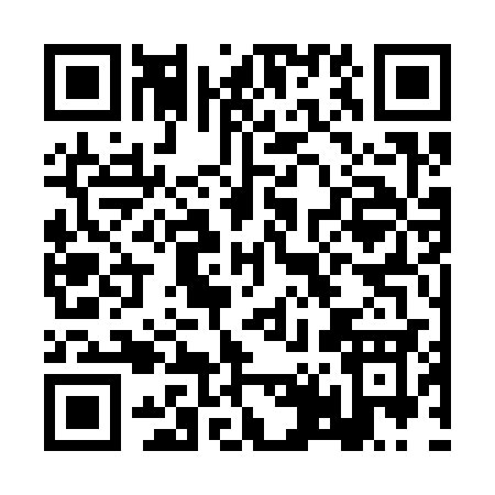QR code for BT333