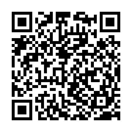 QR code for CHIR54