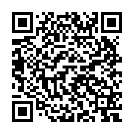 QR code for CHOJ60