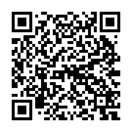 QR code for CMUR29