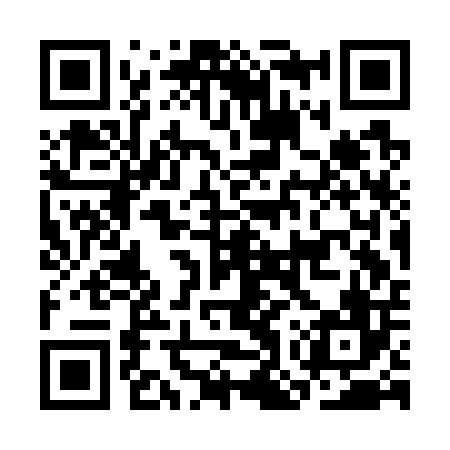 QR code for COSG06