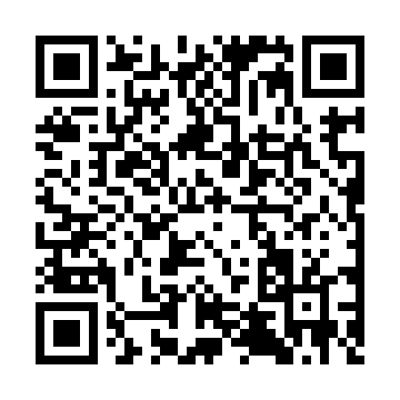 QR code for CT294