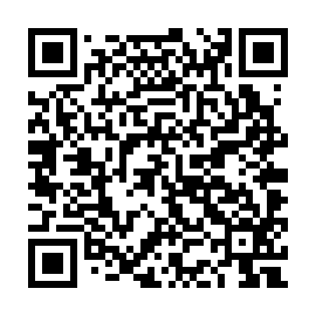 QR code for DCDS96