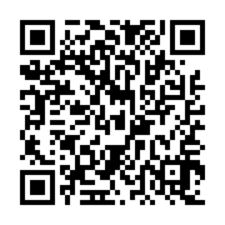 QR code for DDLT17