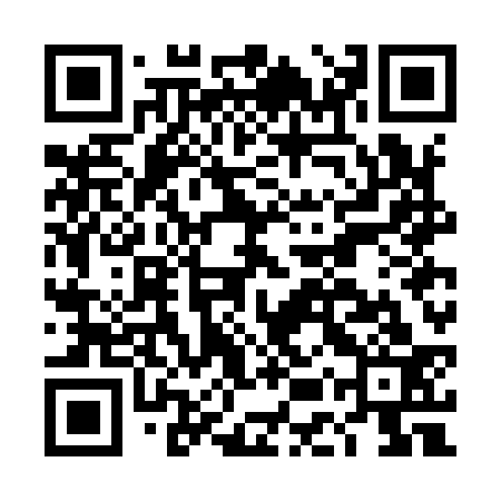 QR code for DEWI33