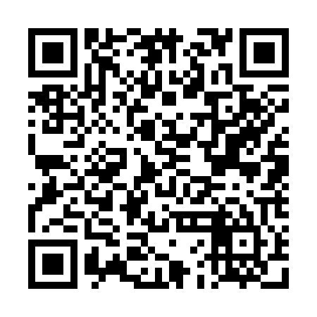 QR code for DFG305
