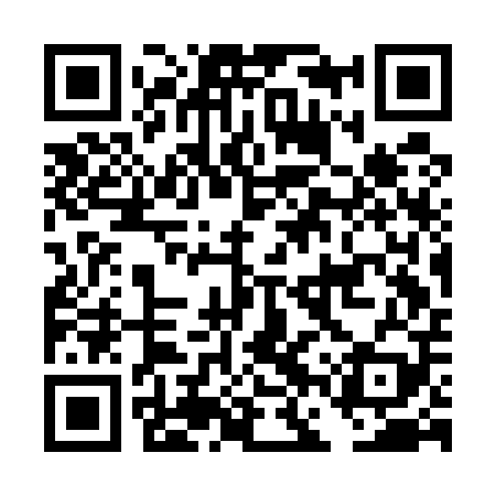 QR code for DFSE09