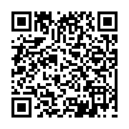 QR code for DG238