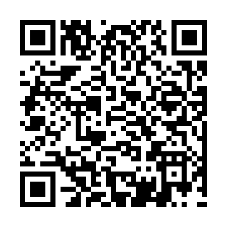 QR code for DG338