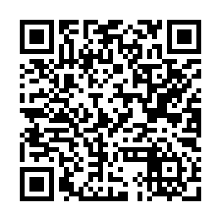 QR code for DILI94