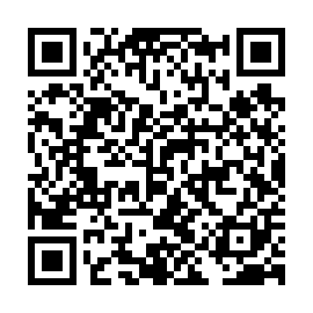 QR code for DIVV01