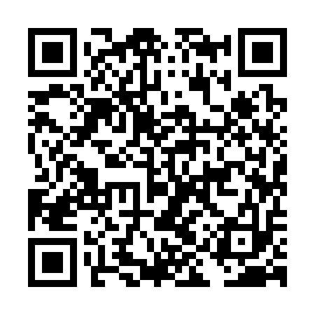 QR code for DIY313