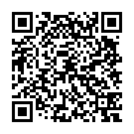 QR code for DIZ438