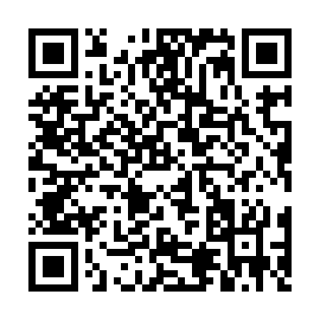 QR code for DL993