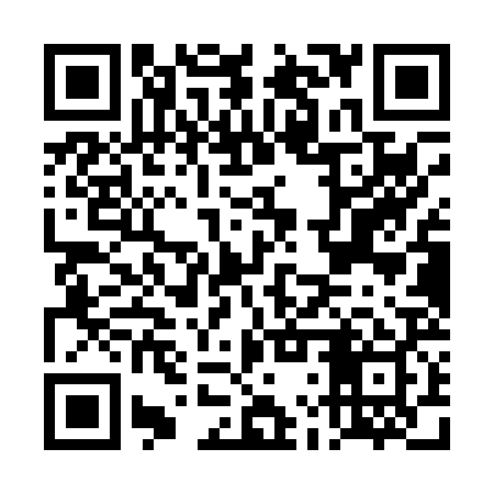 QR code for DLQP29