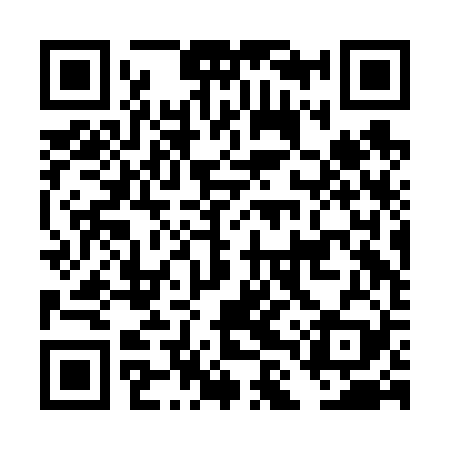 QR code for DLRF29
