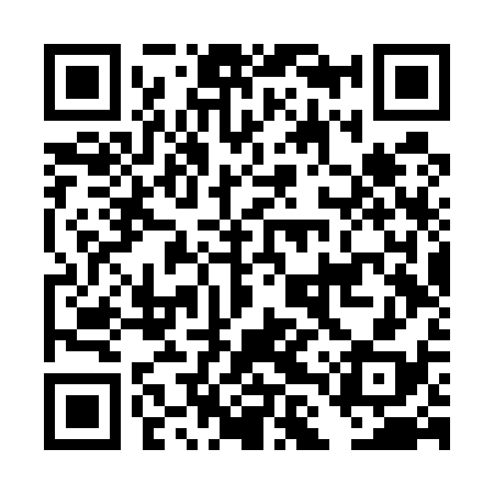 QR code for DLVU38