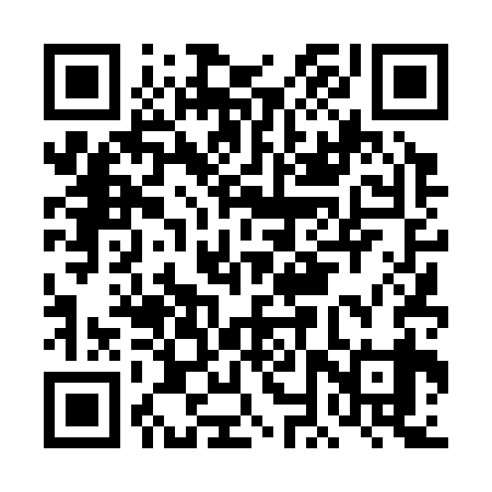 QR code for DNT339